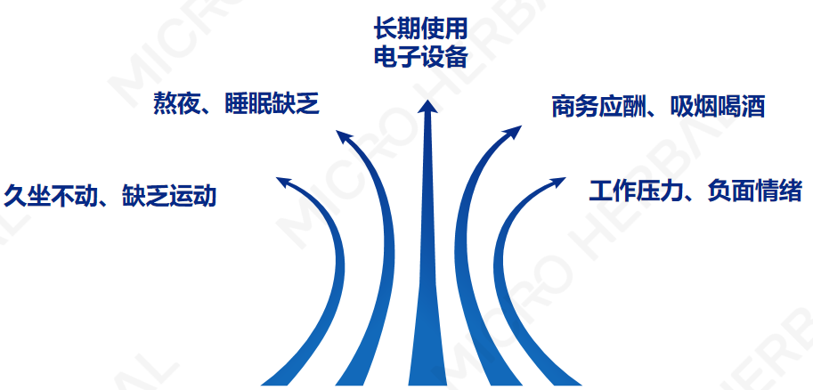 c7c7娱乐平台(中国)官方网站入口